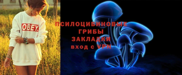 сатива Алексеевка