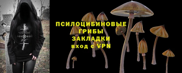 не бодяженный Магас