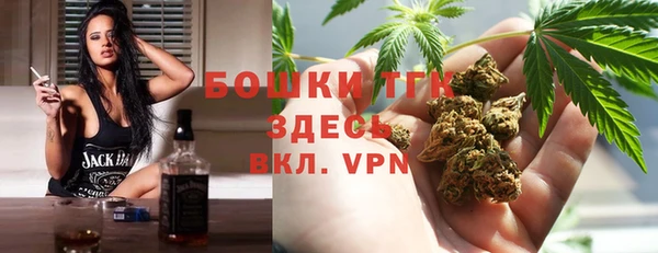 сатива Алексеевка