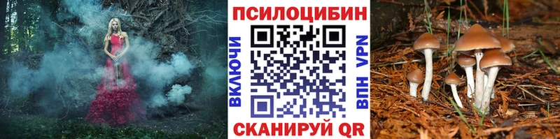 Галлюциногенные грибы ЛСД  закладка  shop клад  Артём 
